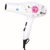 廠家批發(fā)時尚家用大功率水轉(zhuǎn)印電吹風(fēng)