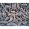 【首選】煙臺(tái)海參批發(fā) 海參批發(fā)廠家 煙臺(tái)海參品牌