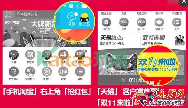 雙十一捉貓貓怎么搜索附近的貓?