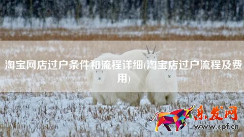 淘寶網(wǎng)店過(guò)戶條件和流程詳細(xì)(淘寶店過(guò)戶流程及費(fèi)用)